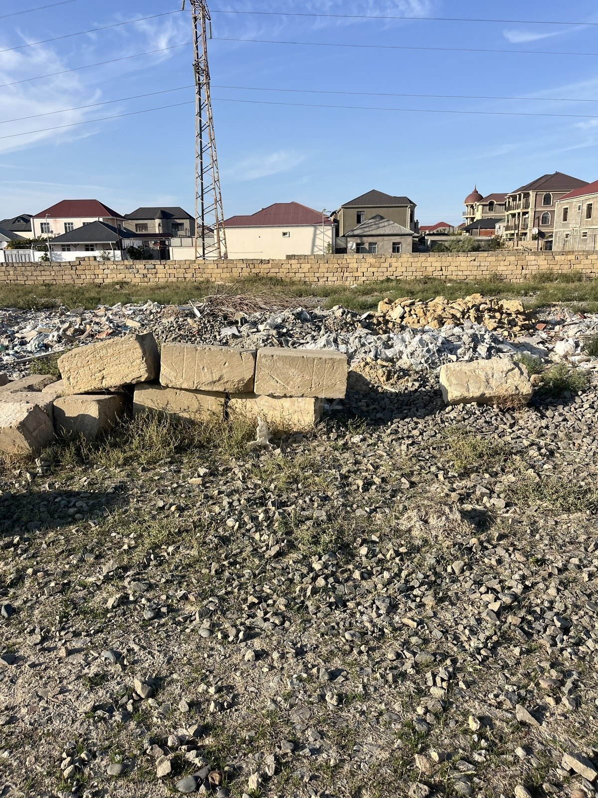 Torpaq Biləcəri q., Bakı