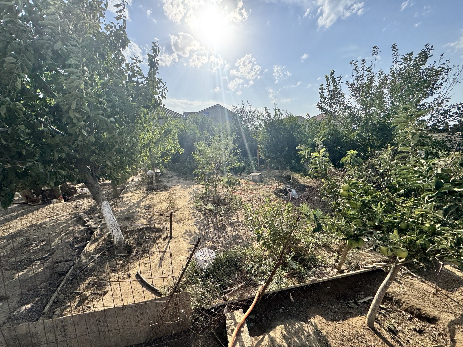 3 otaqlı Həyət evi/Bağ evi, Zabrat q., Bakı