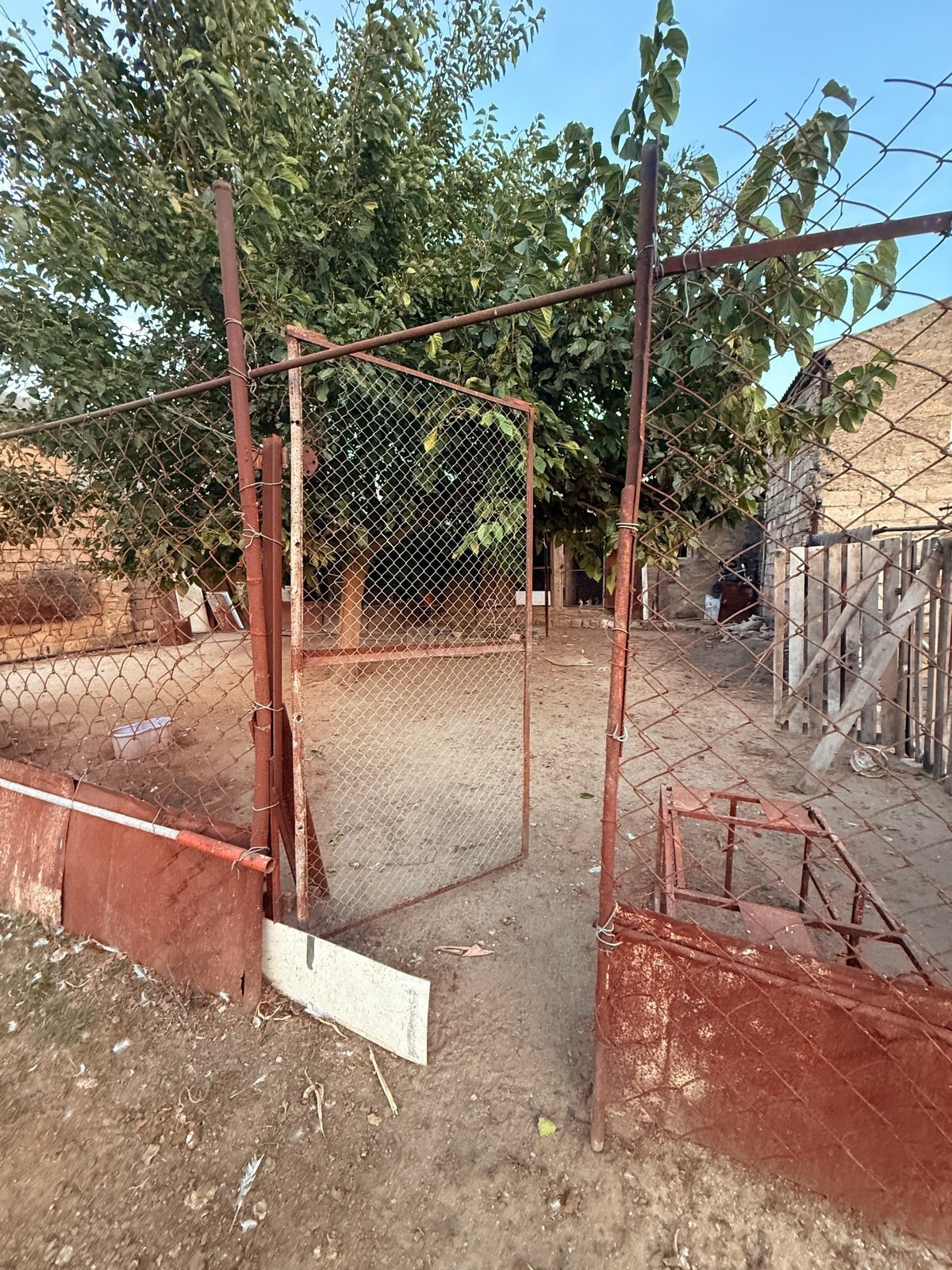 Torpaq Binə q., Bakı