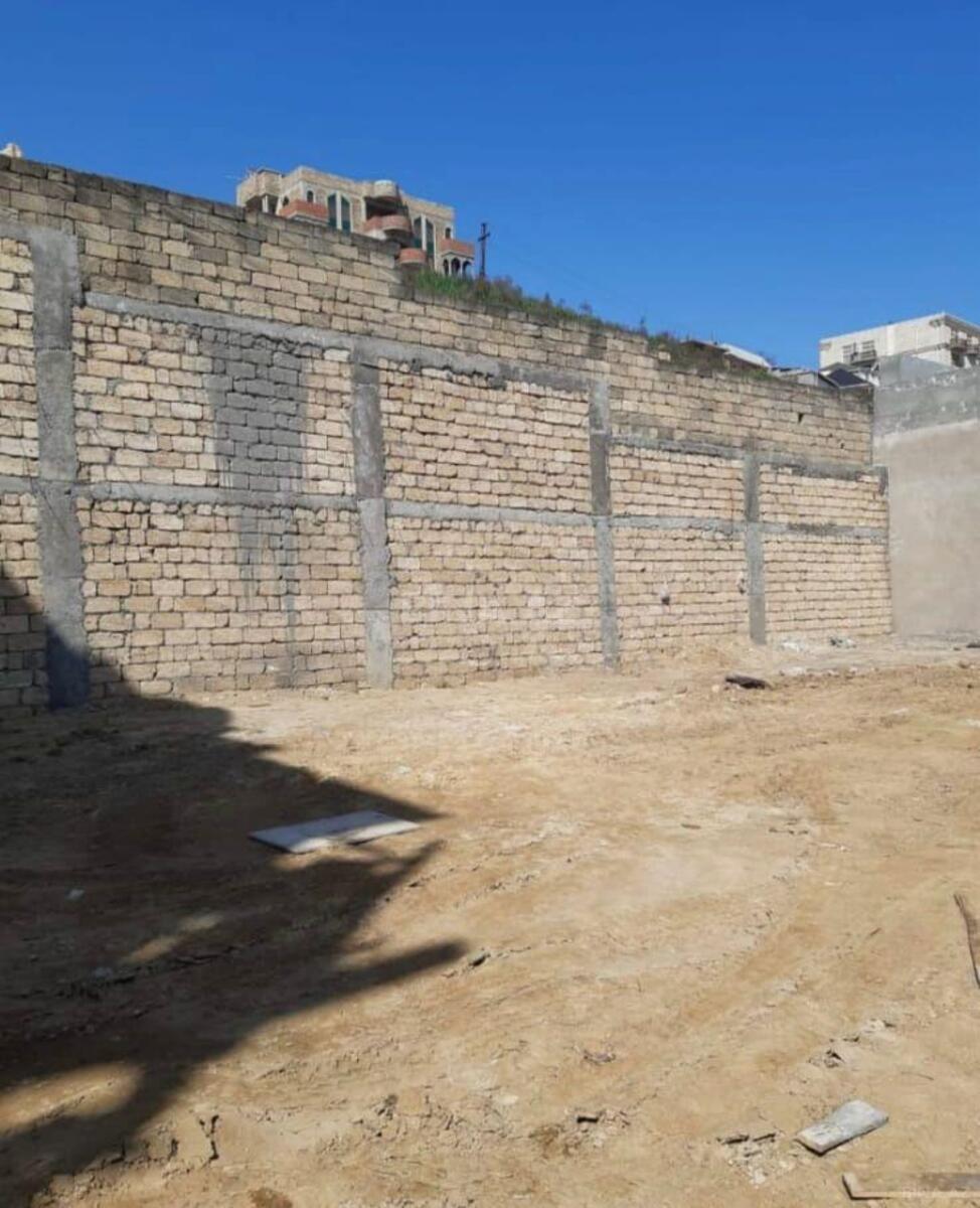 Torpaq Badamdar q., Bakı