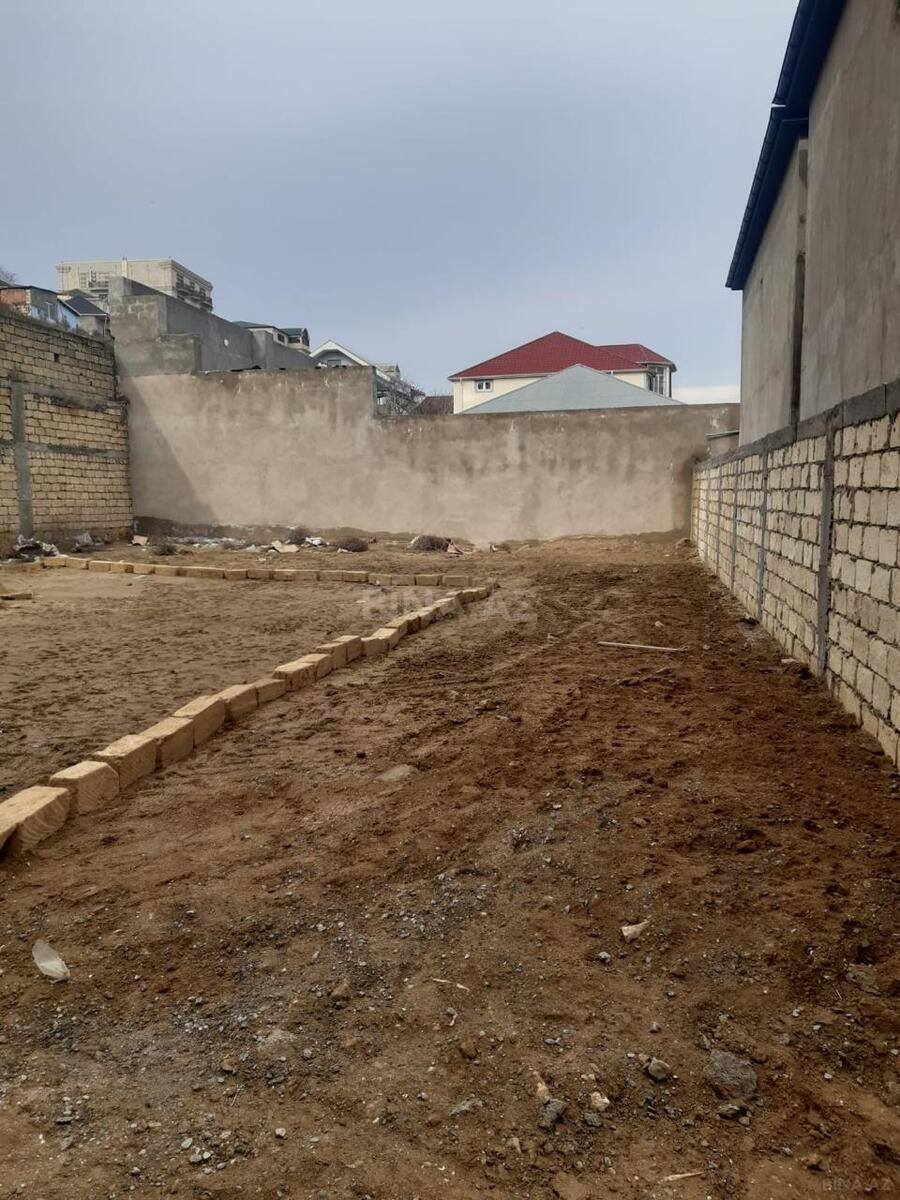 Torpaq Badamdar q., Bakı