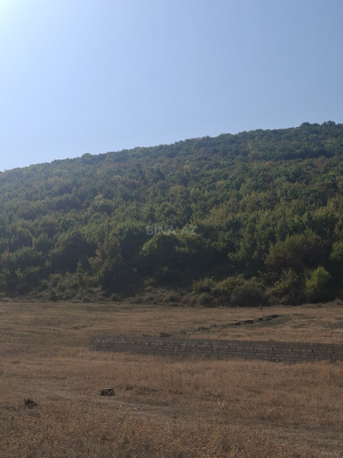 Torpaq Şamaxı
