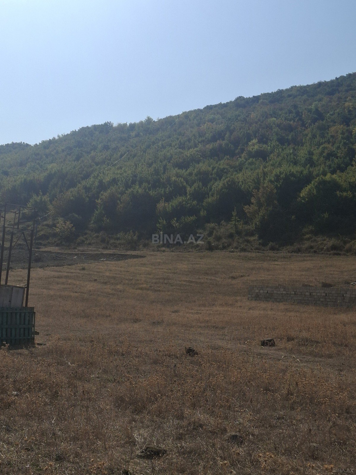 Torpaq Şamaxı