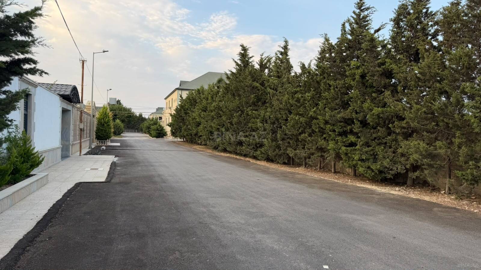 Torpaq Şüvəlan q., Bakı