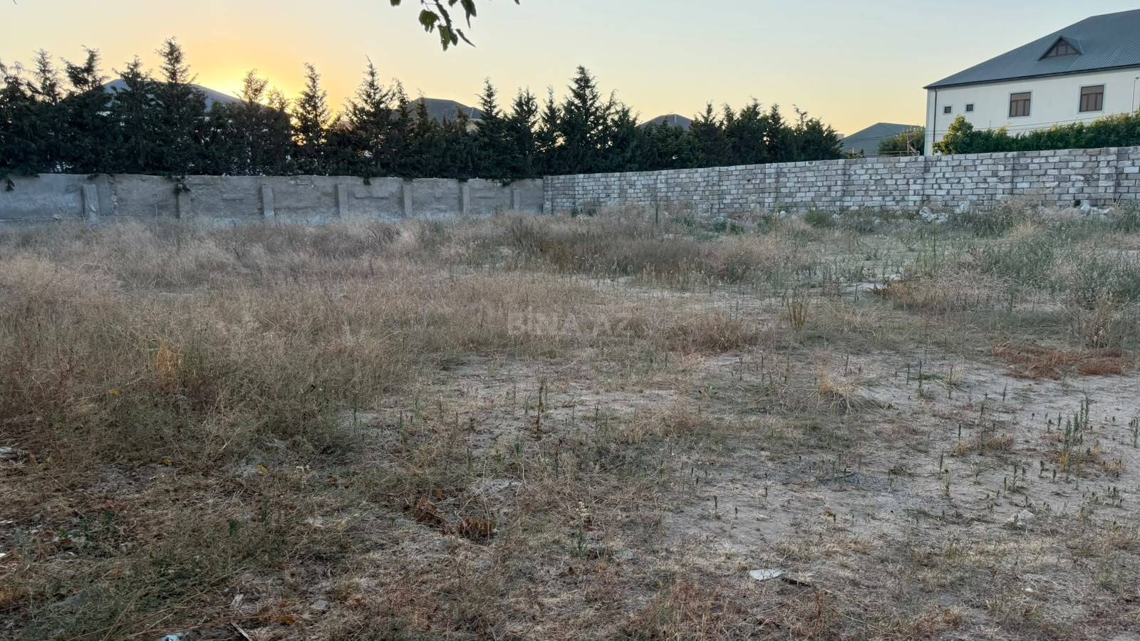 Torpaq Şüvəlan q., Bakı