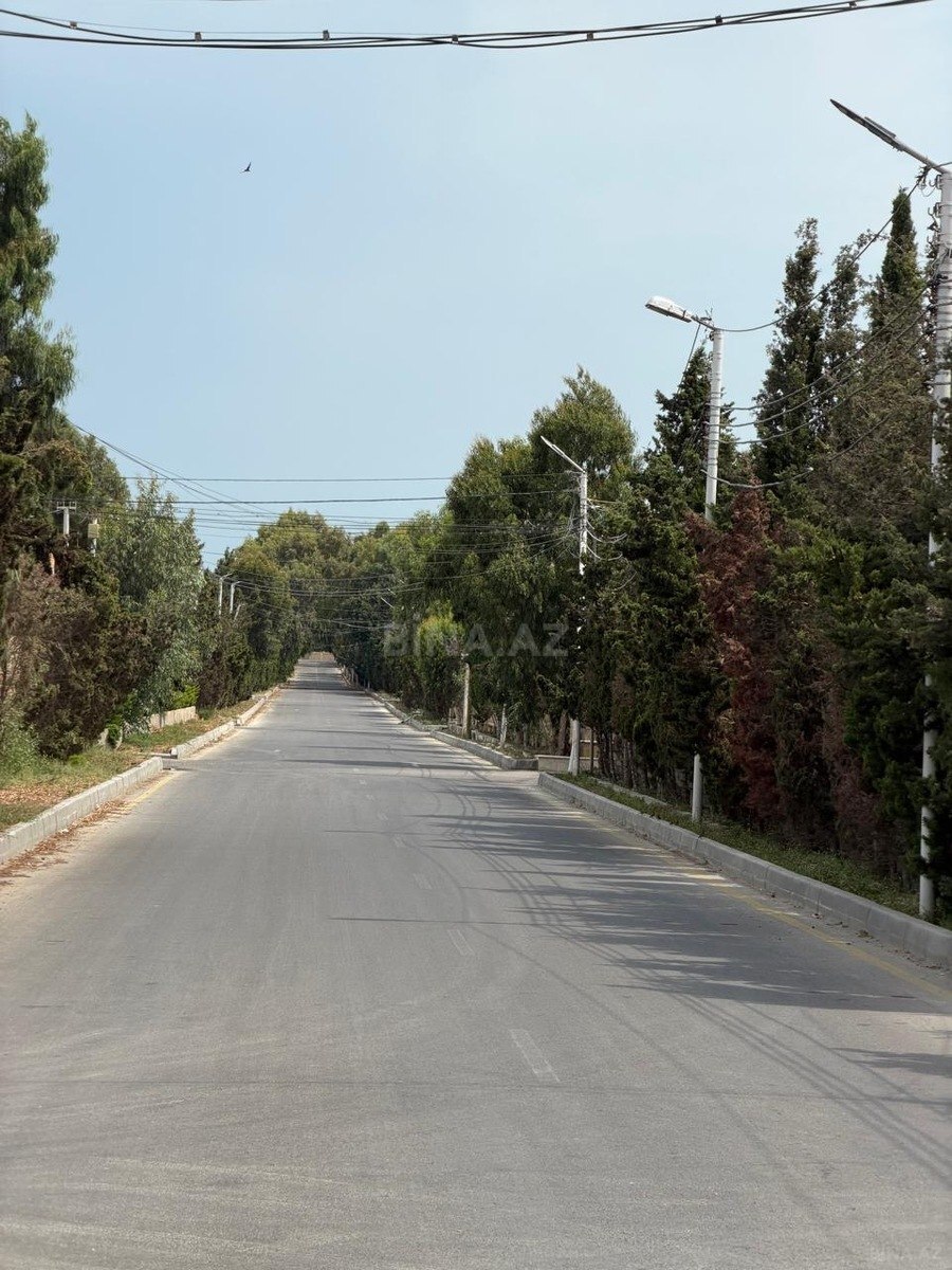 Torpaq Şüvəlan q., Bakı