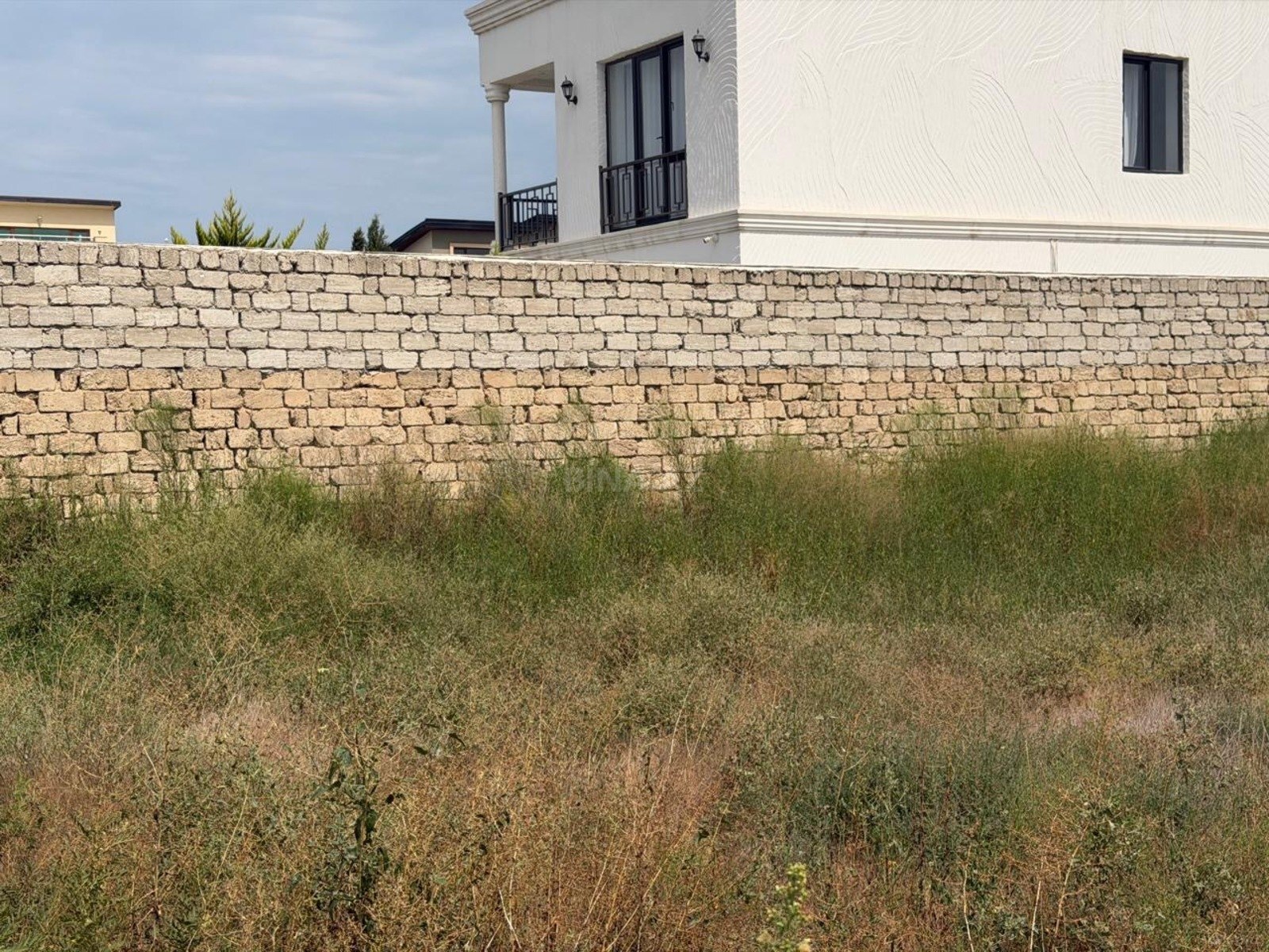 Torpaq Şüvəlan q., Bakı