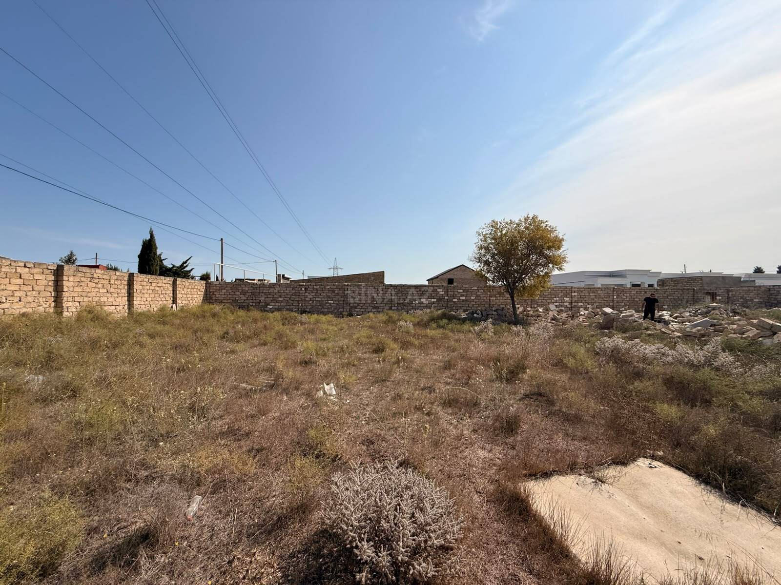 Torpaq Şüvəlan q., Bakı