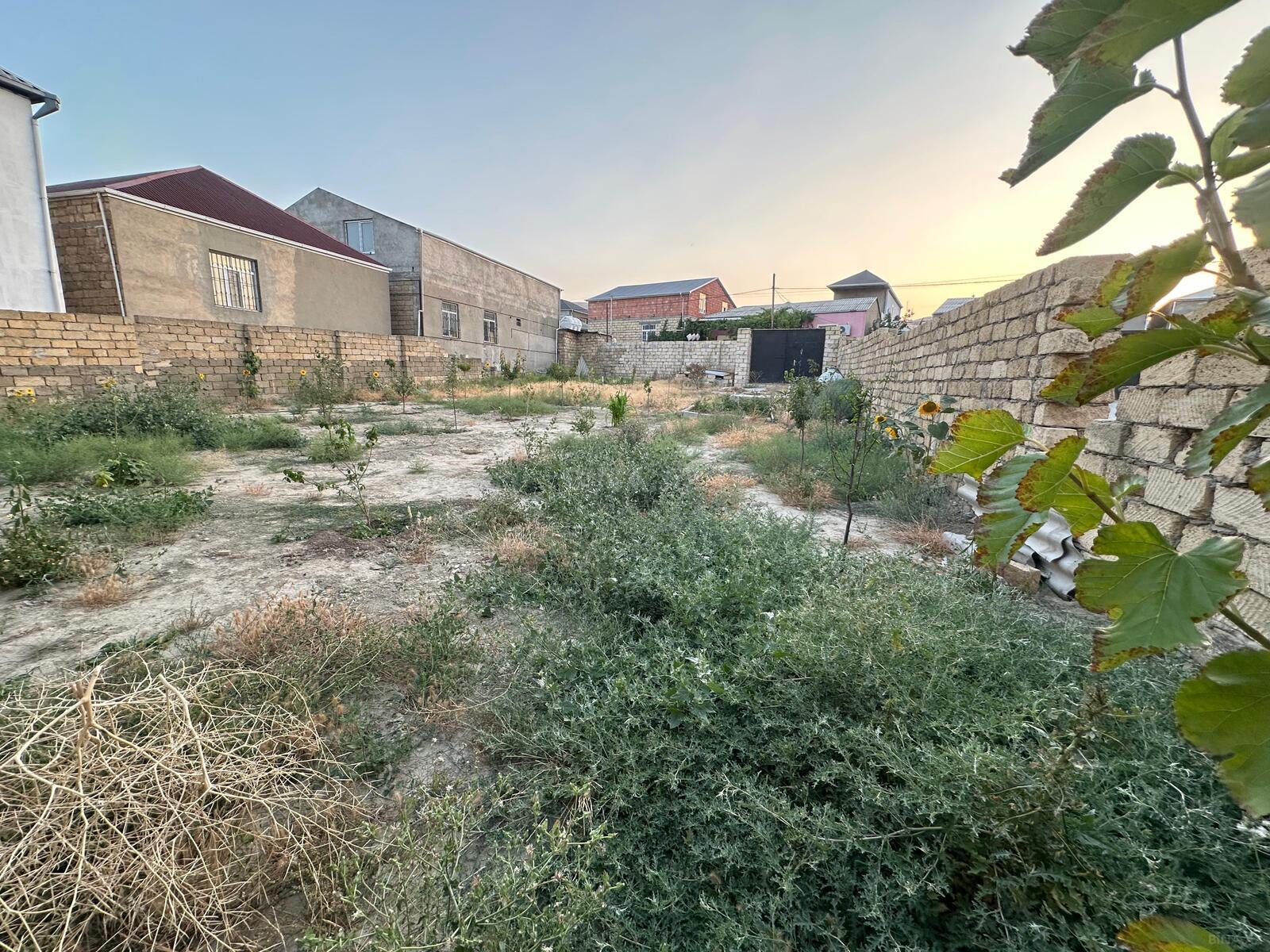 Torpaq Xocəsən q., Bakı