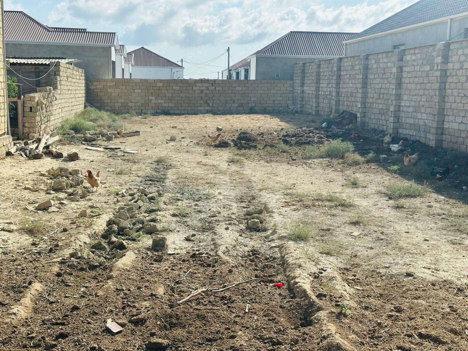 Torpaq Məmmədli q., Bakı