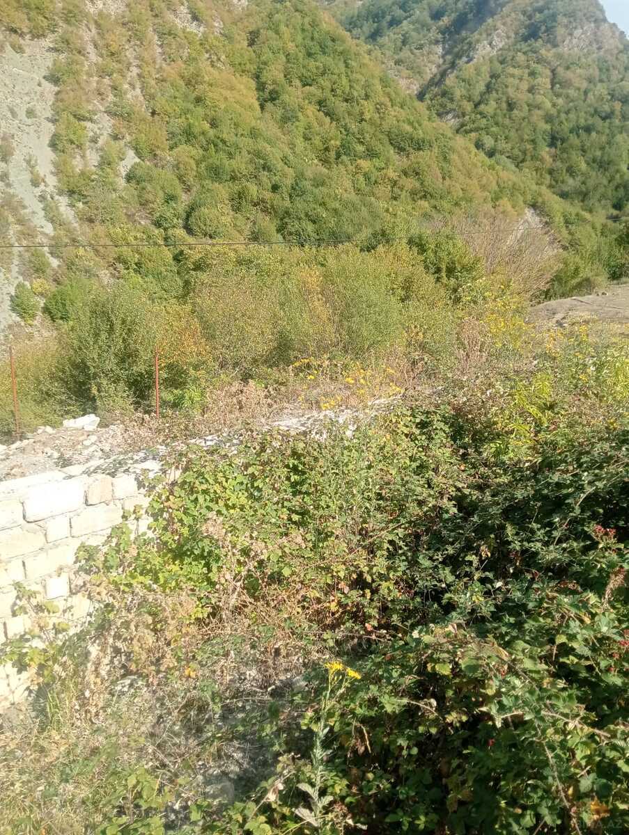 Torpaq İsmayıllı