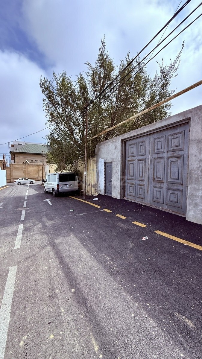 Torpaq Badamdar q., Bakı