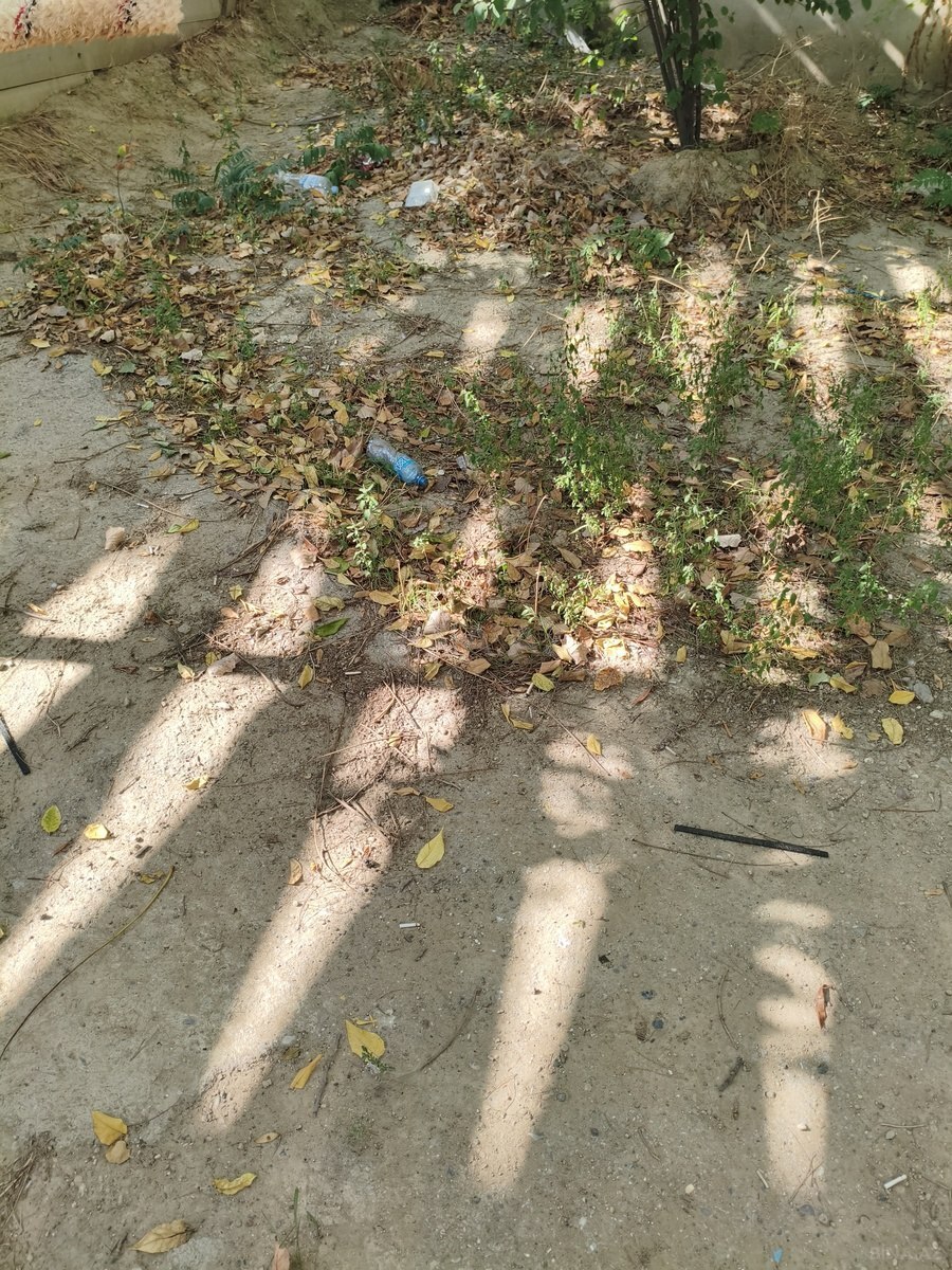 Torpaq Elmlər Akademiyası m., Bakı