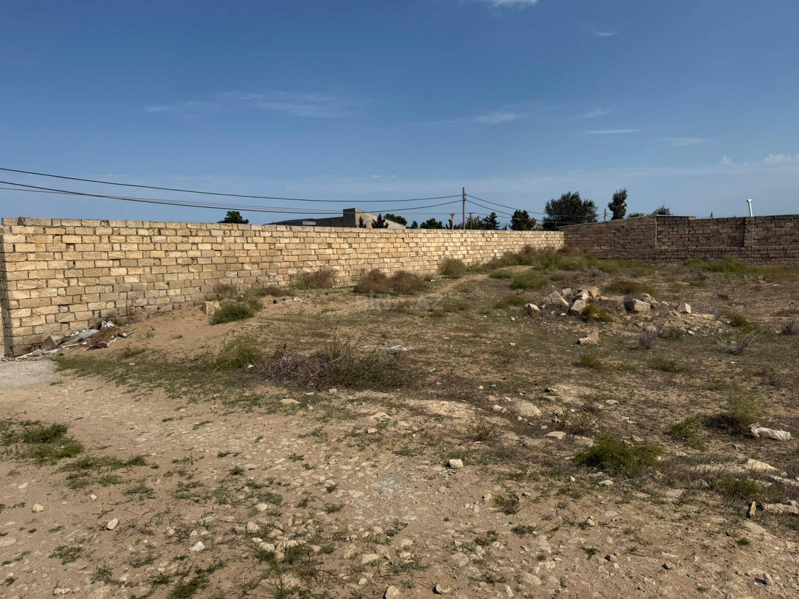 Torpaq Nardaran q., Bakı