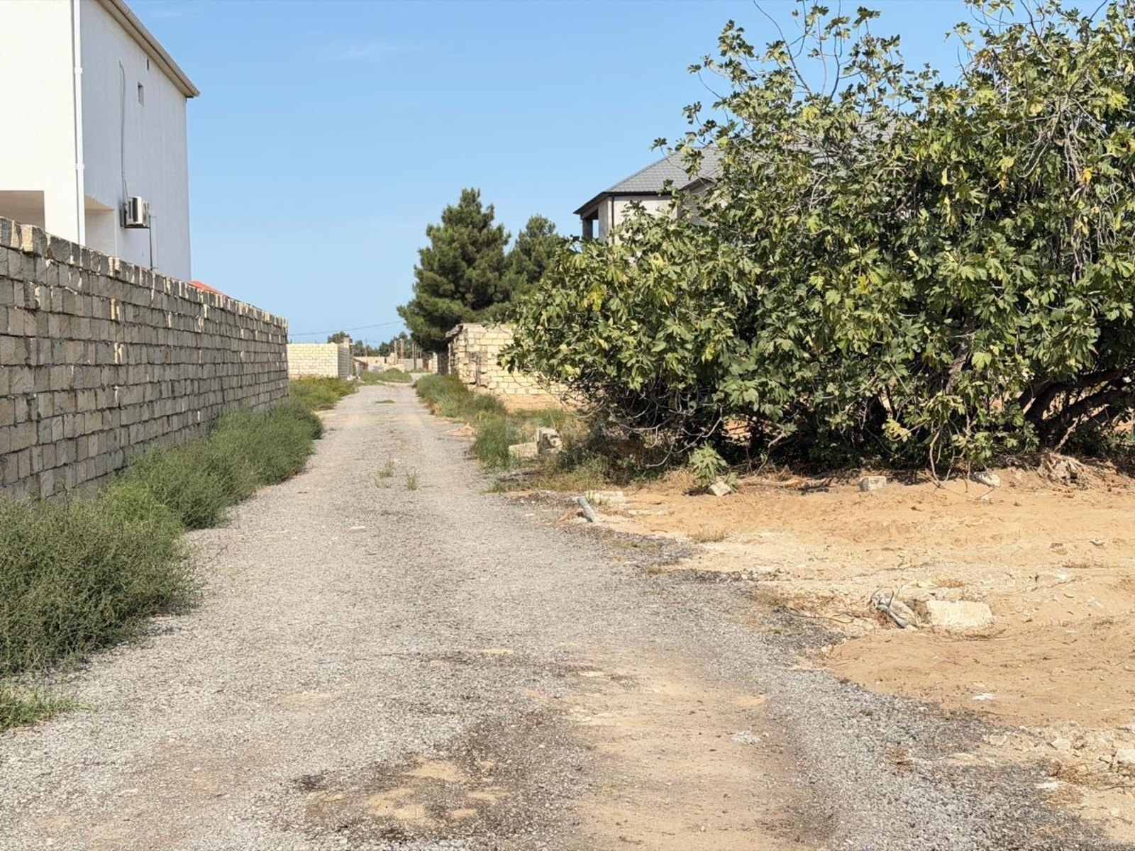 Torpaq Nardaran q., Bakı