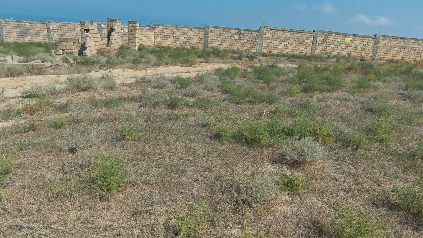 Torpaq Novxanı q., Bakı