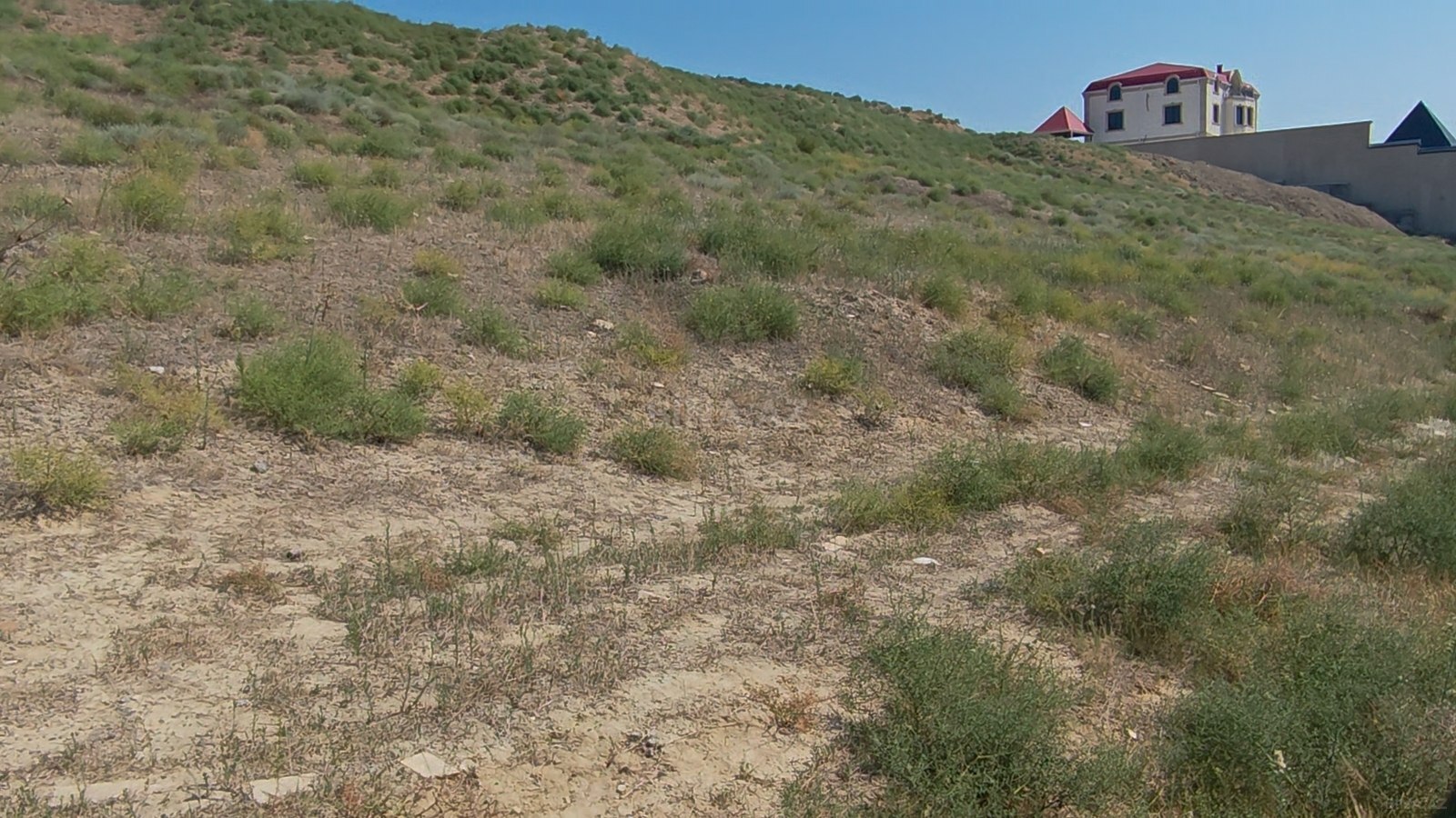 Torpaq Novxanı q., Bakı