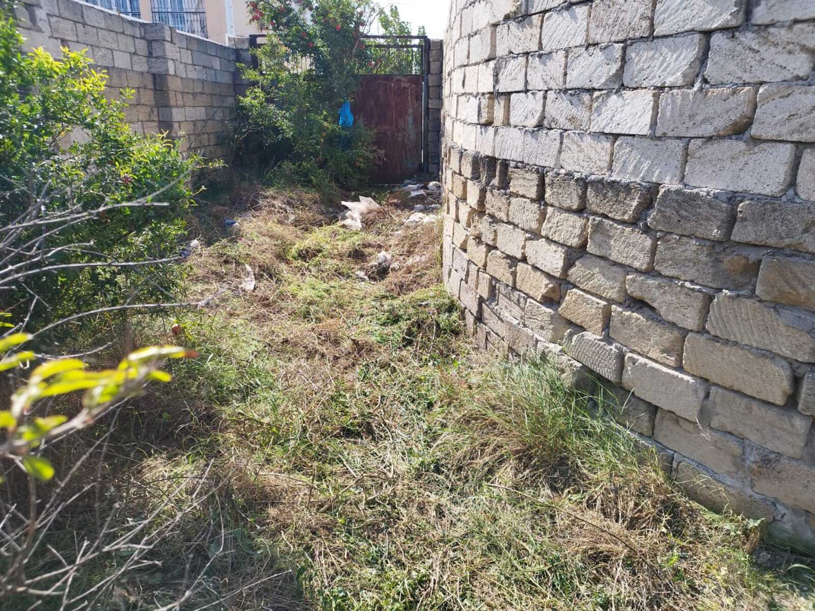 Torpaq Novxanı q., Bakı