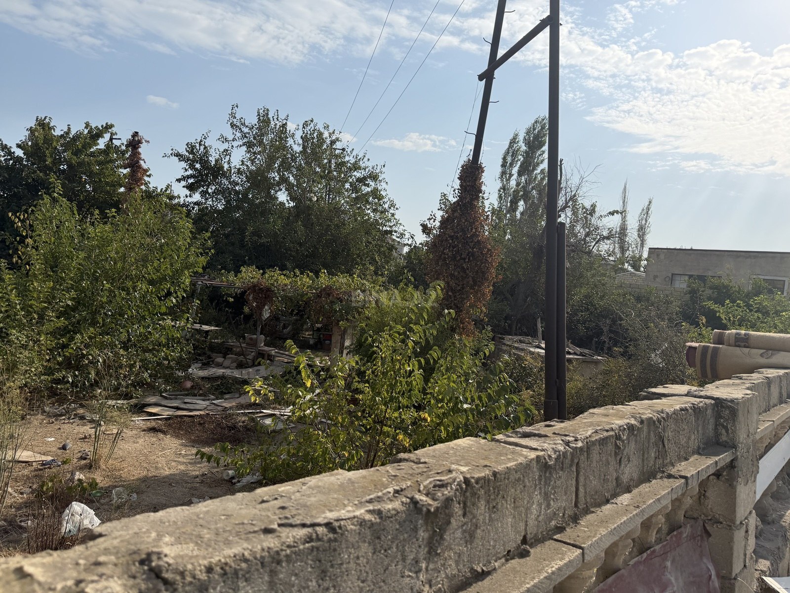 Torpaq Sahil q., Bakı