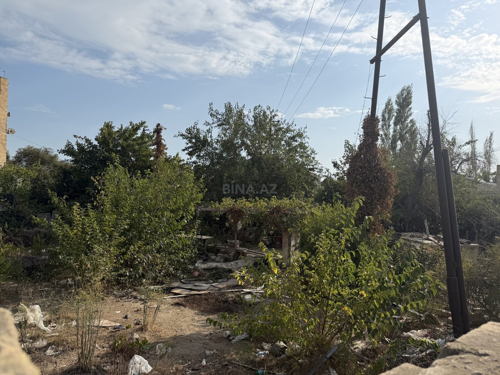 Torpaq Sahil q., Bakı