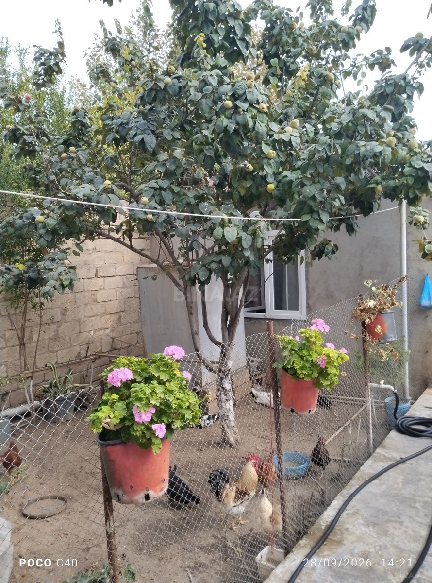 6 otaqlı Həyət evi/Bağ evi, Bülbülə q., Bakı