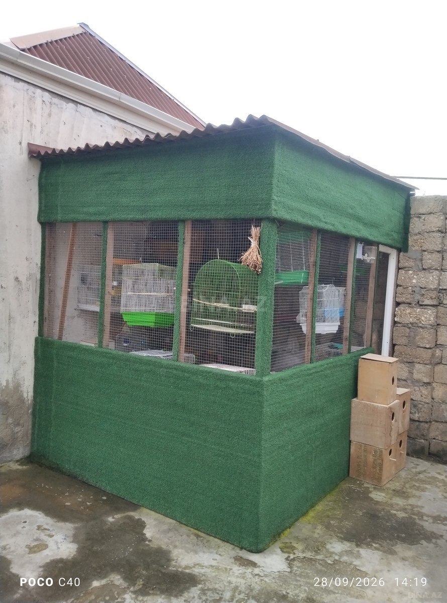 6 otaqlı Həyət evi/Bağ evi, Bülbülə q., Bakı