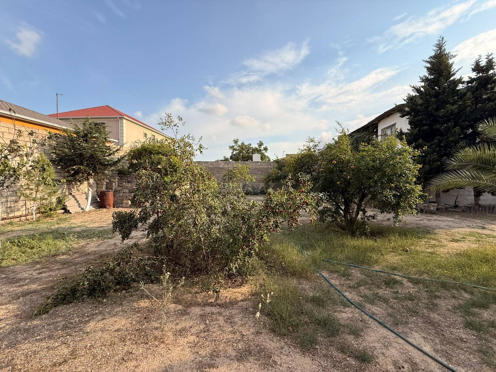 Torpaq Şağan q., Bakı