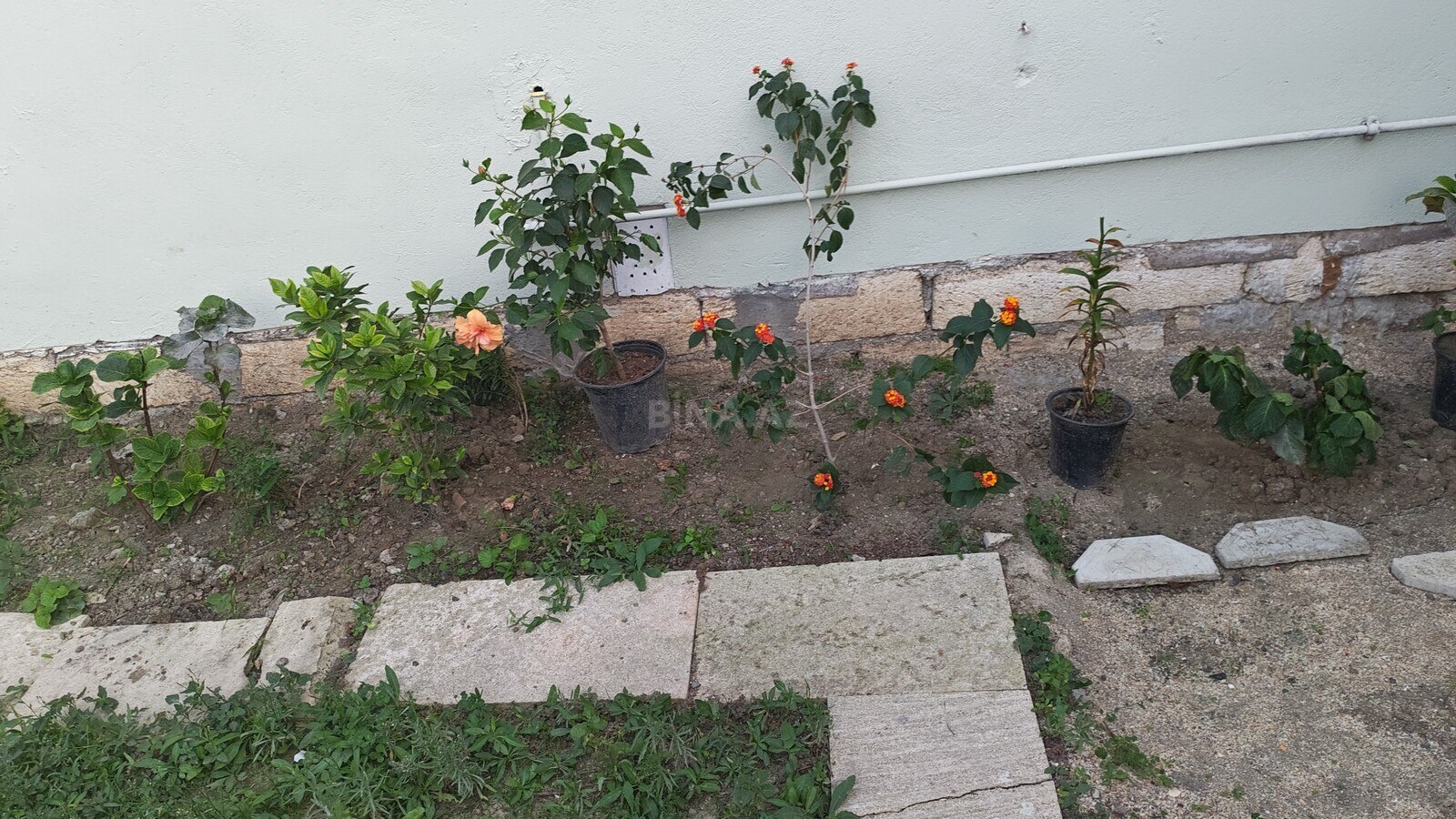 3 otaqlı Həyət evi/Bağ evi, Masazır q., Bakı
