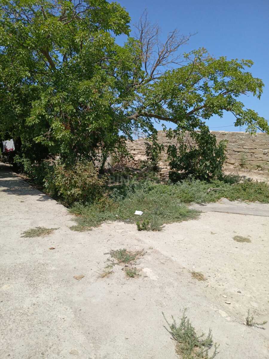 Torpaq Suraxanı q., Bakı