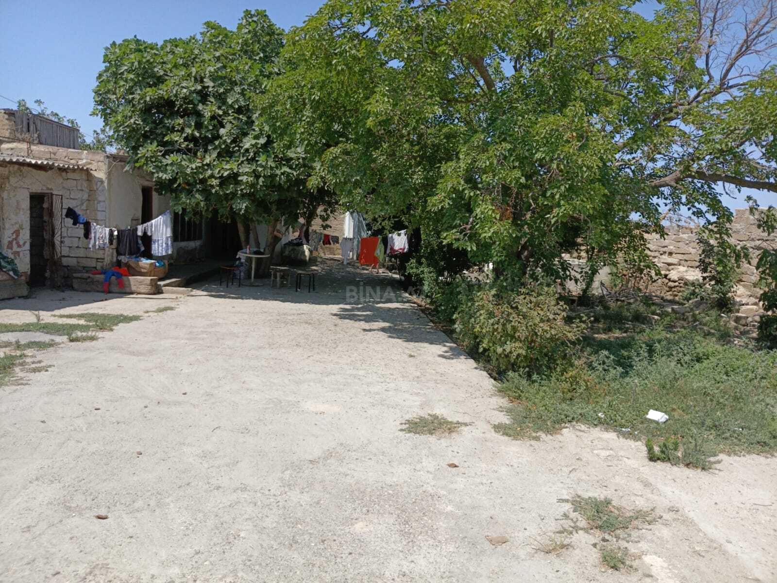 Torpaq Suraxanı q., Bakı