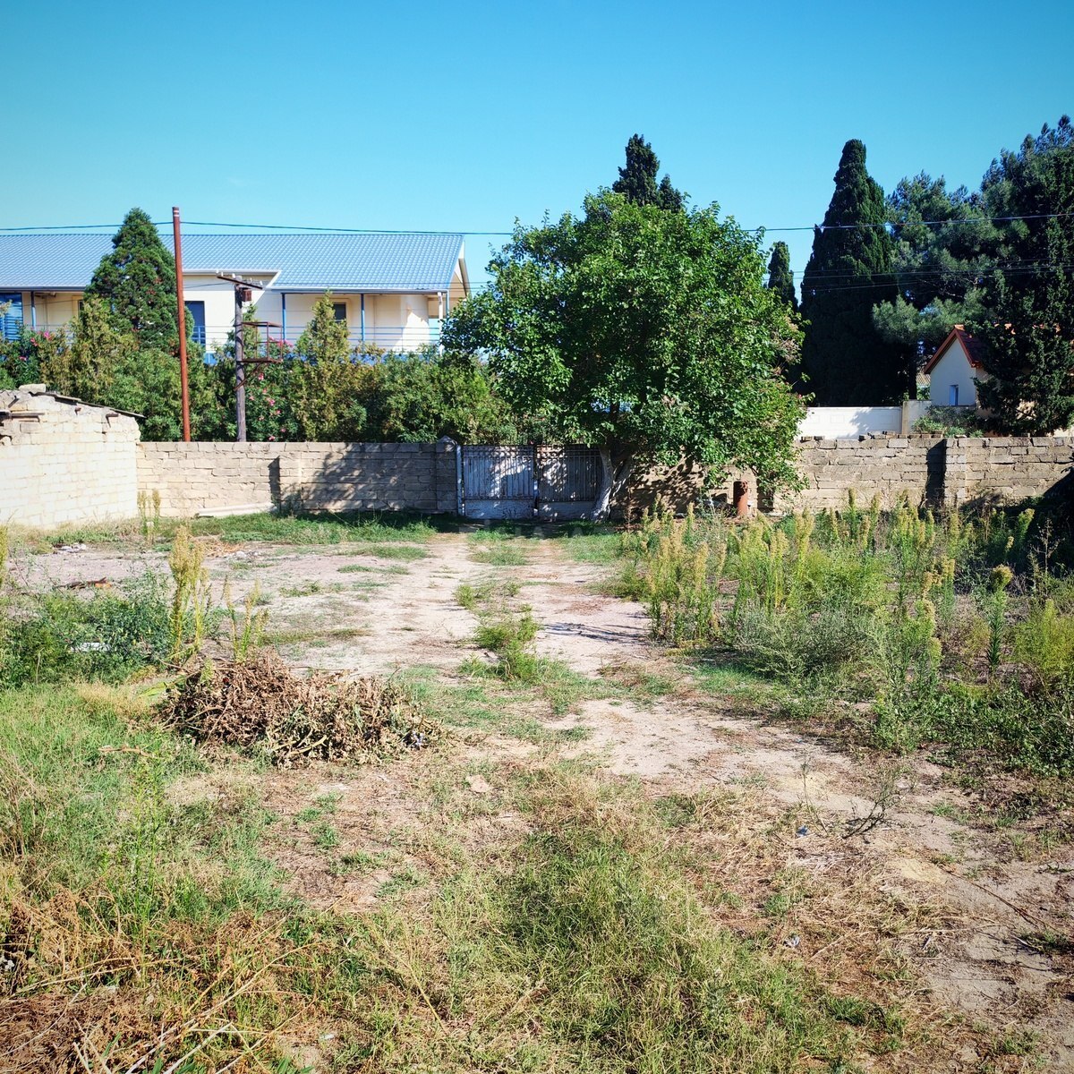 Torpaq Görədil q., Bakı