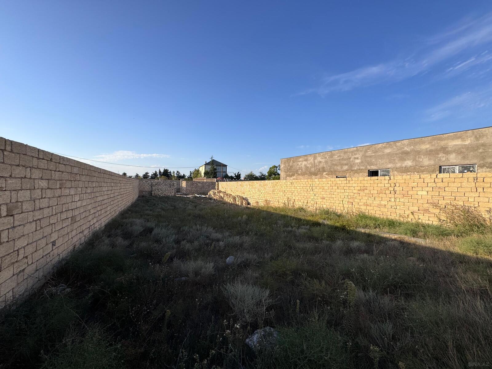 Torpaq Nardaran q., Bakı