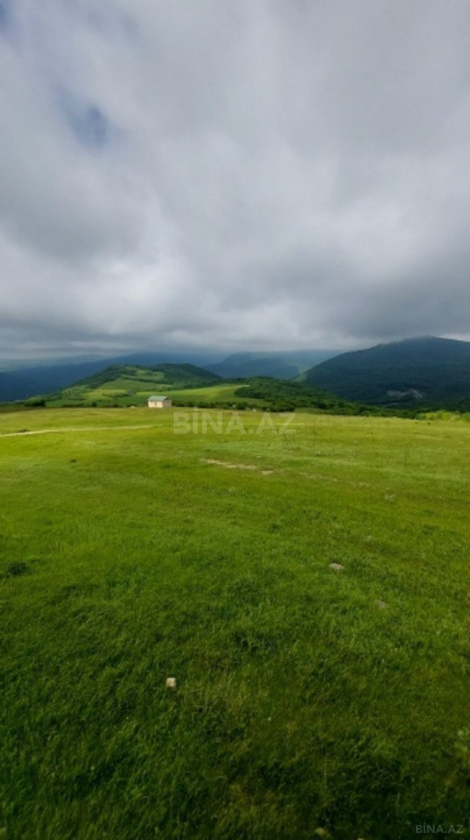Torpaq Şamaxı