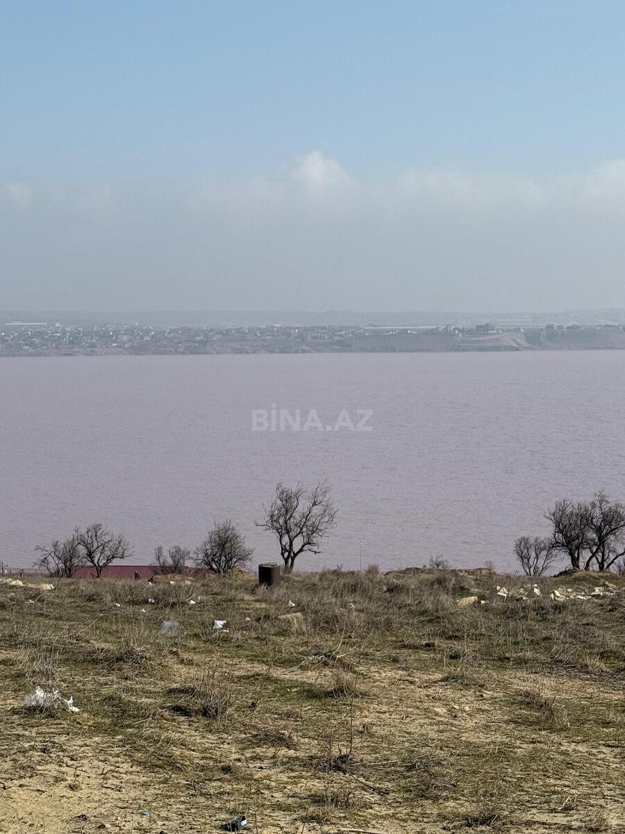Torpaq Masazır q., Bakı