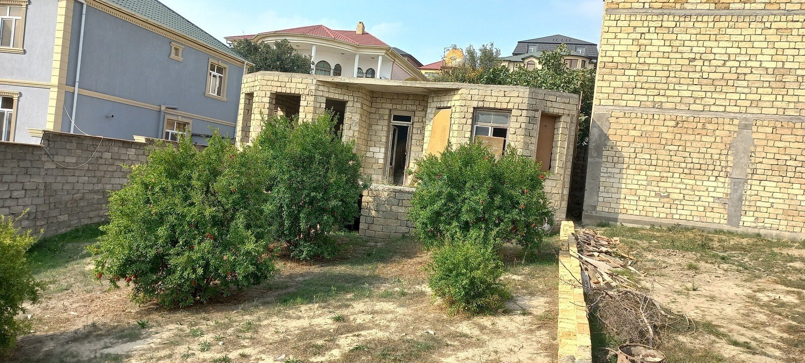 Torpaq Badamdar q., Bakı