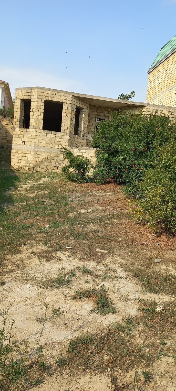 Torpaq Badamdar q., Bakı