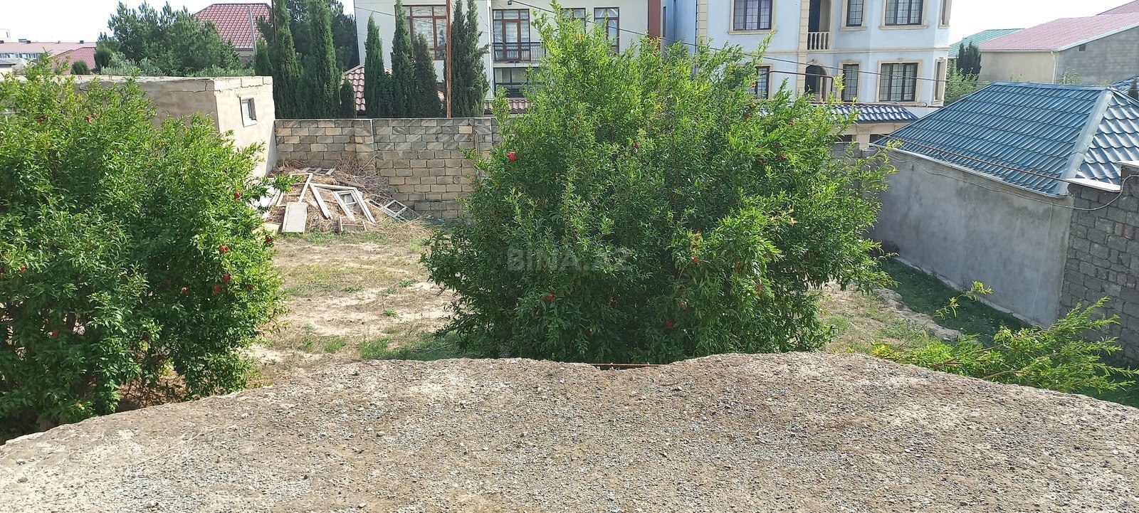 Torpaq Badamdar q., Bakı