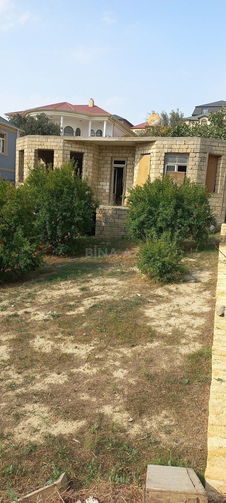 Torpaq Badamdar q., Bakı