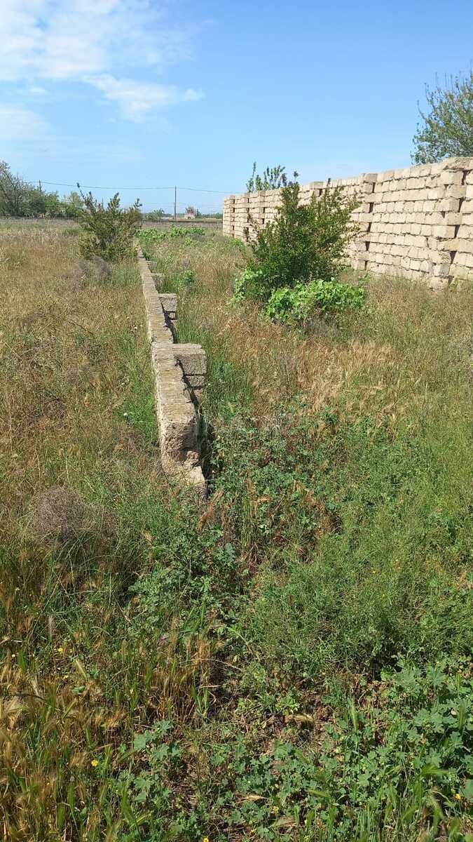Torpaq Buzovna q., Bakı
