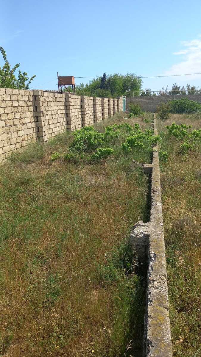Torpaq Buzovna q., Bakı