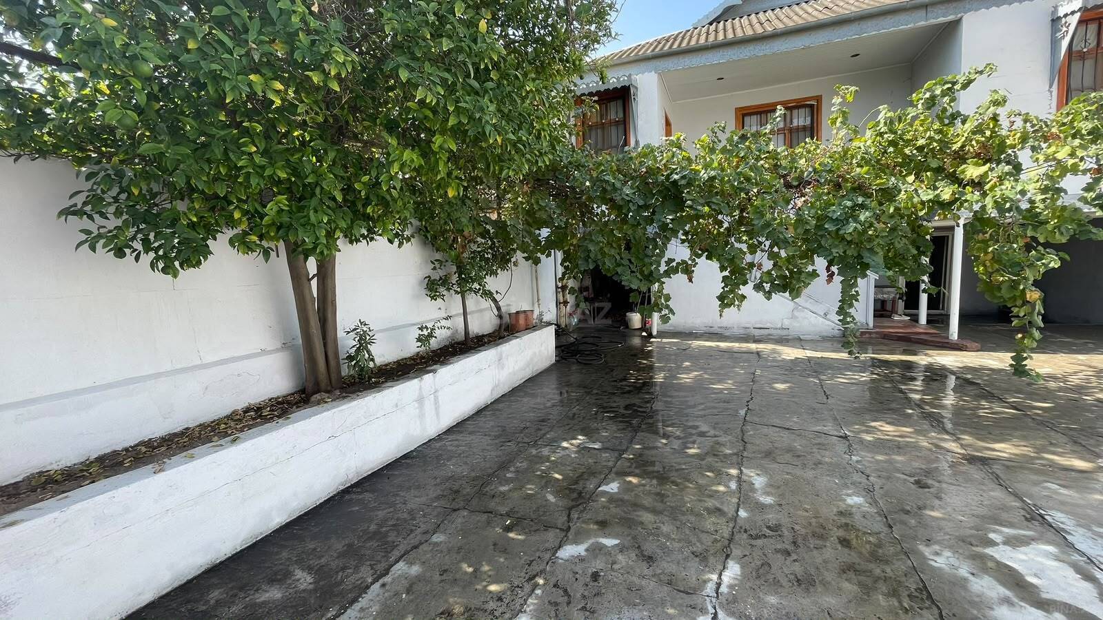 7 otaqlı Həyət evi/Bağ evi, Yevlax