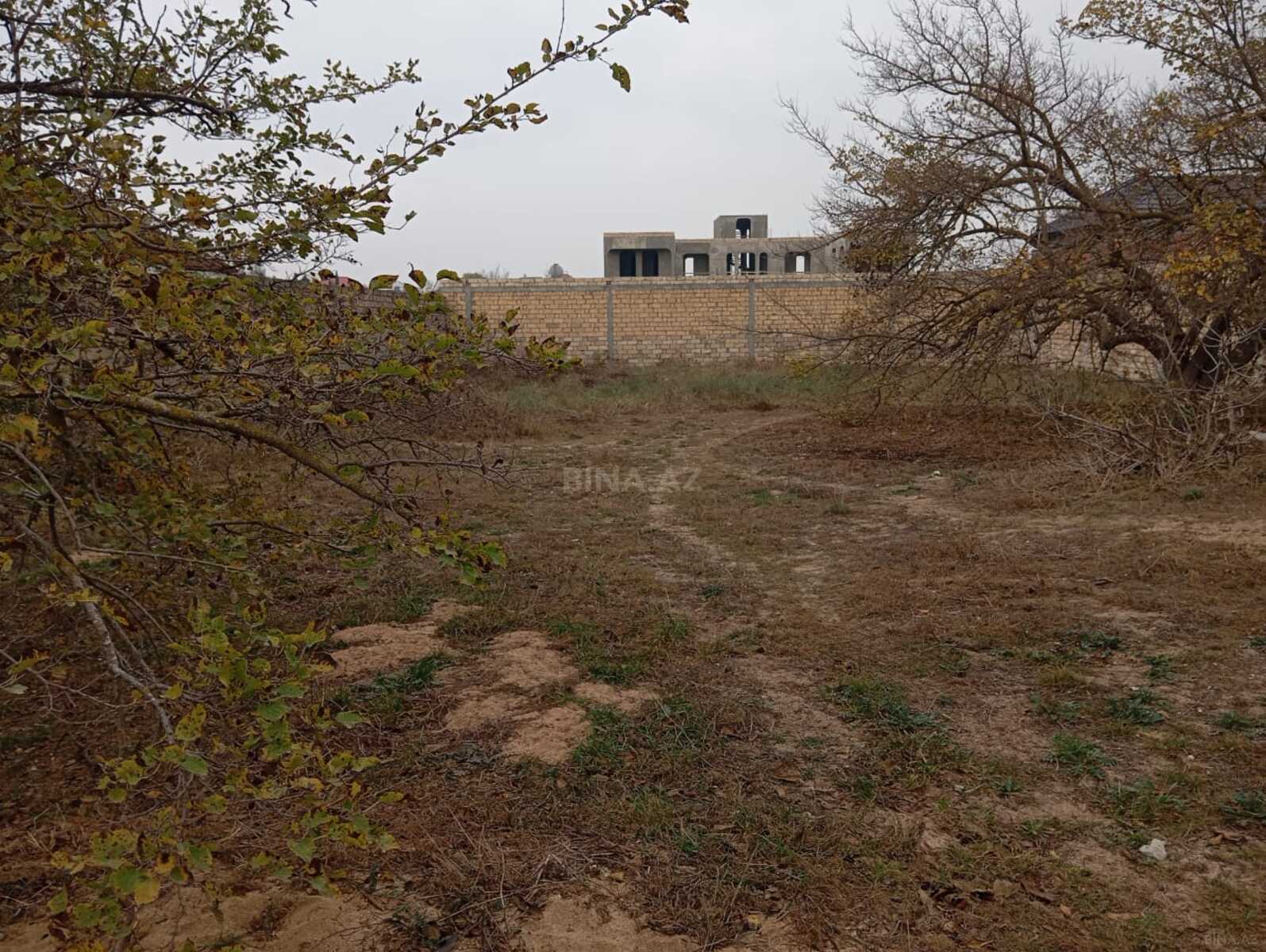 Torpaq Bilgəh q., Bakı
