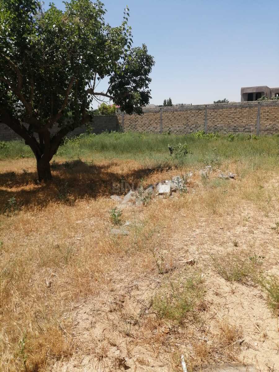 Torpaq Bilgəh q., Bakı