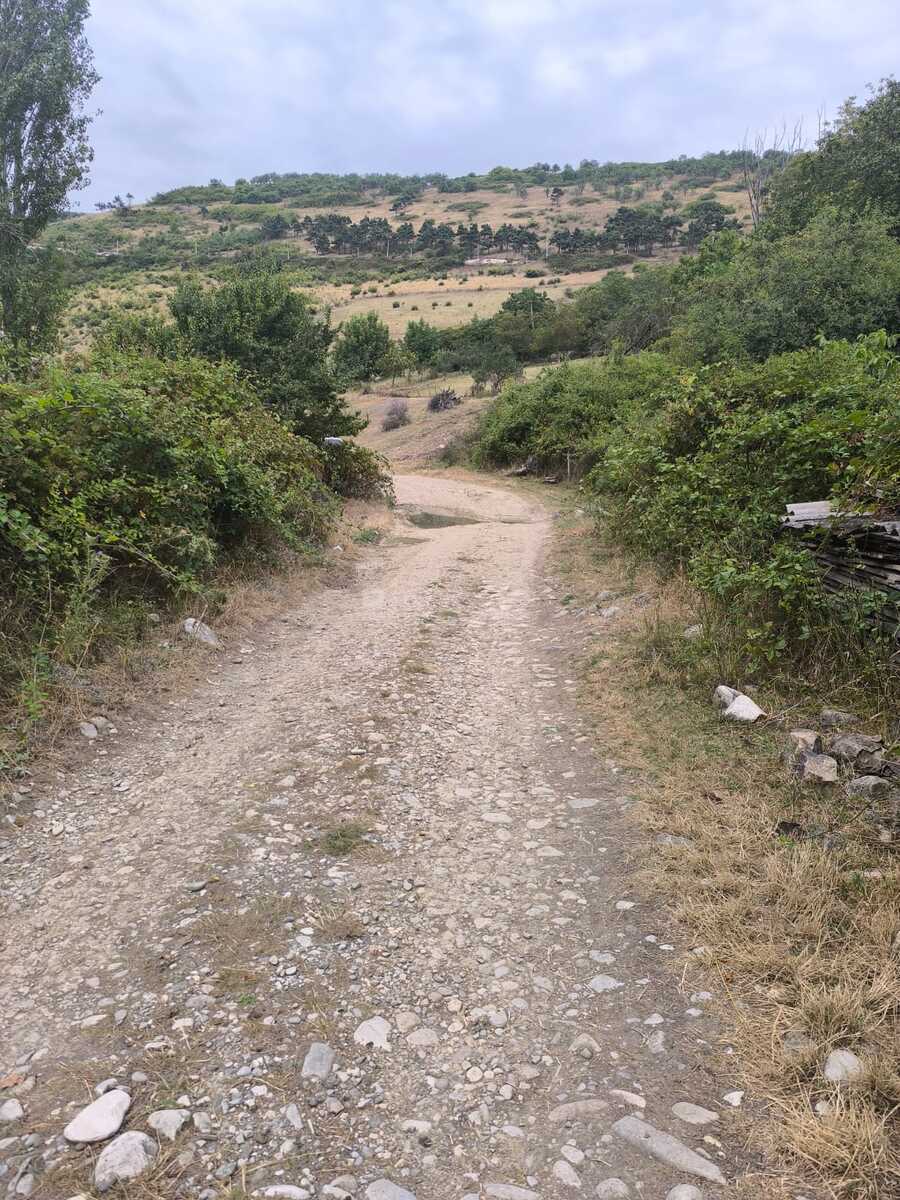 Torpaq Şamaxı