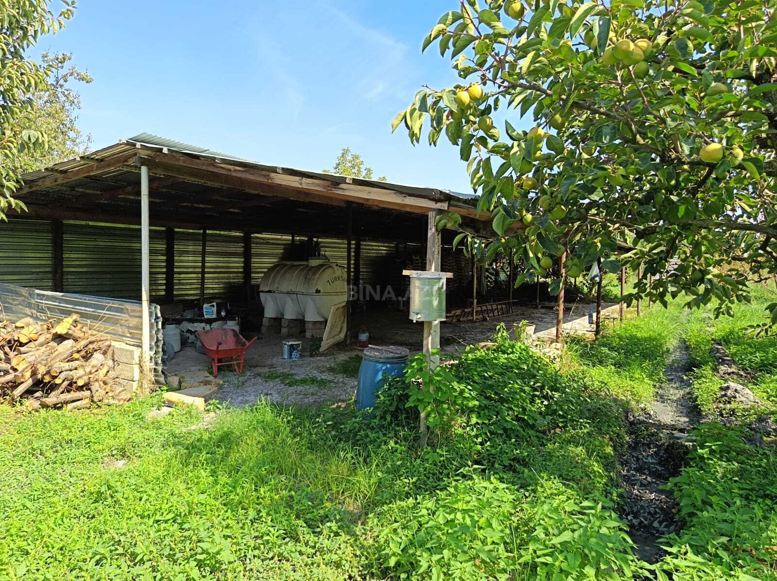 Torpaq Göyçay