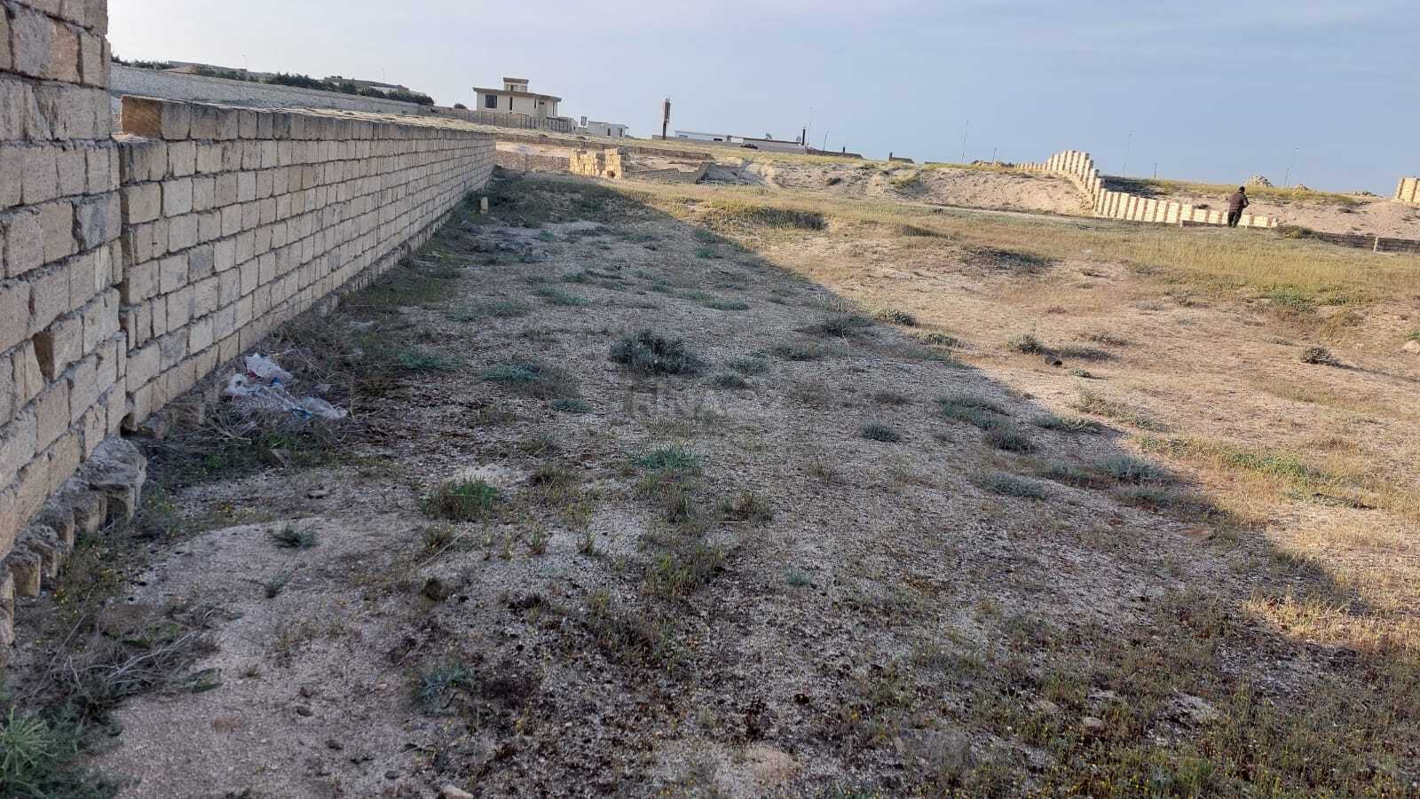 Torpaq Görədil q., Bakı