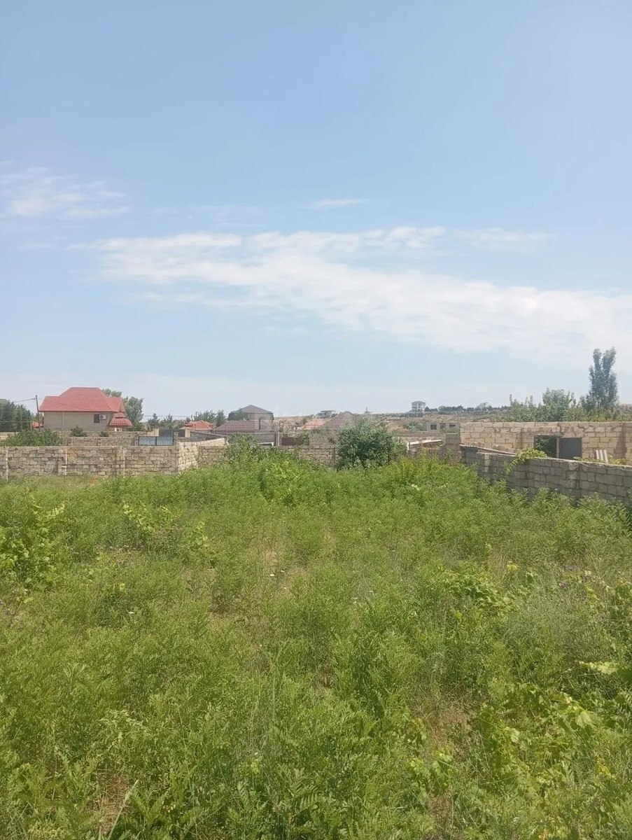 Torpaq Nardaran q., Bakı