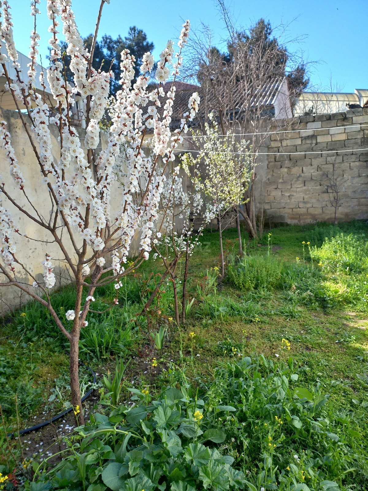 2 otaqlı Həyət evi/Bağ evi, Avtovağzal m., Bakı