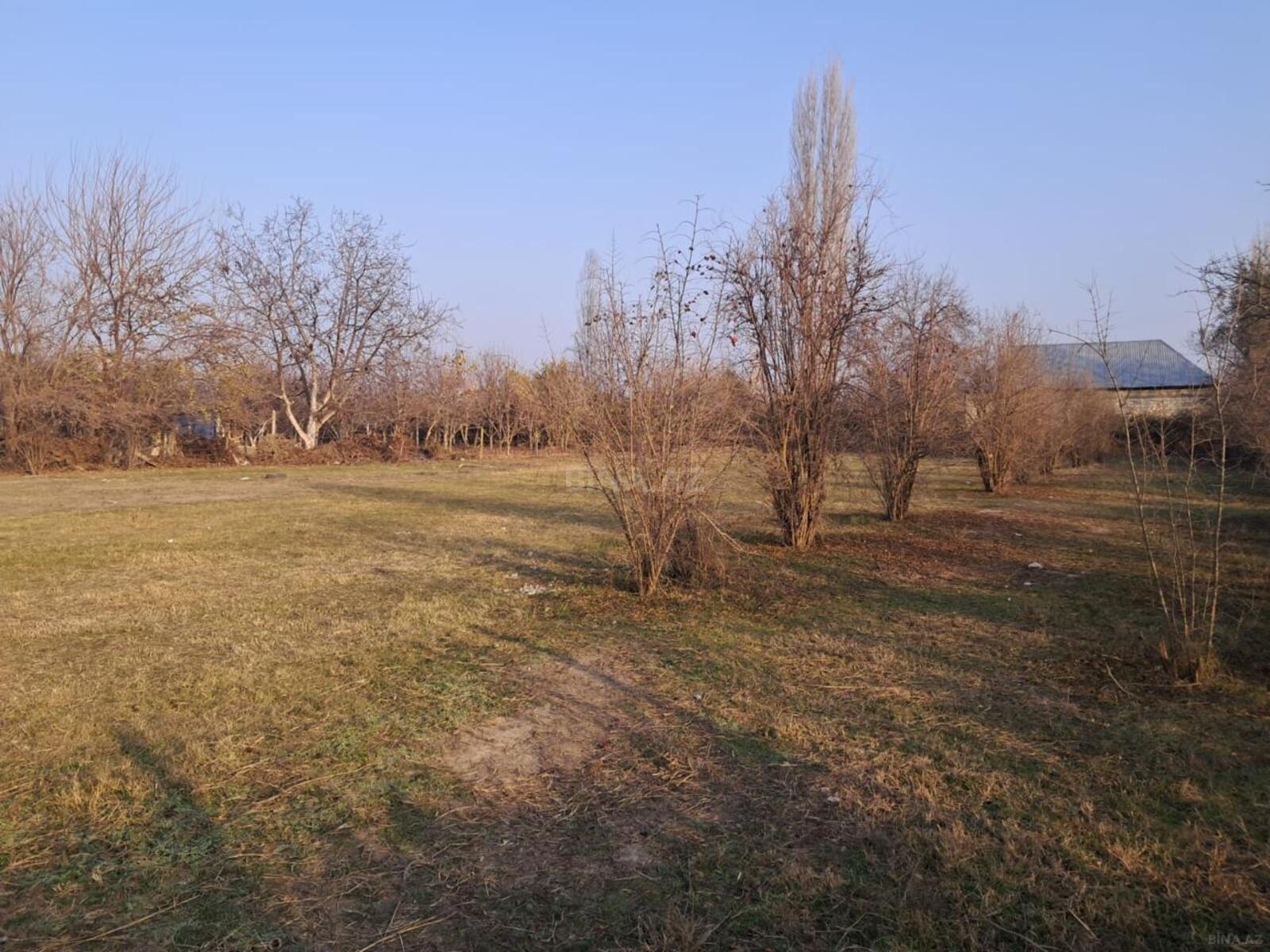 Torpaq Göyçay