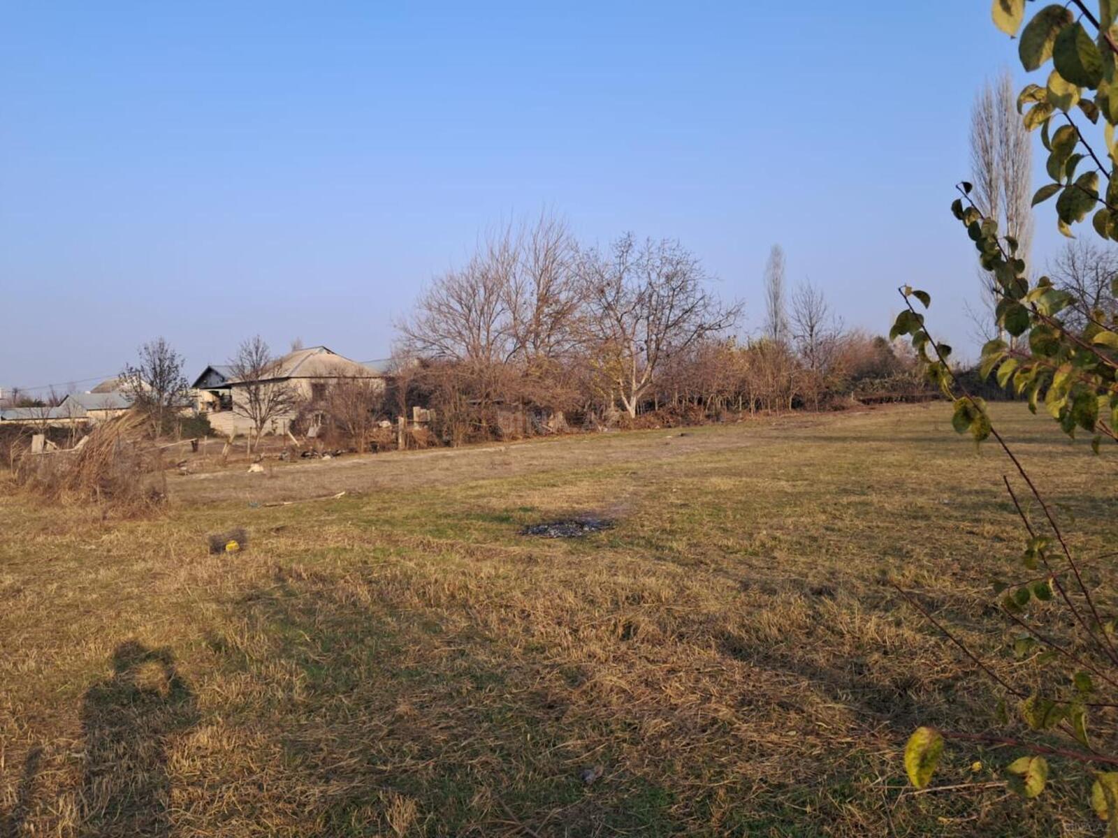 Torpaq Göyçay